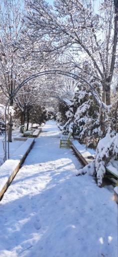 عکس دانشگاه علوم پزشکی اراک پردیس پیامبر اعظم (ص)