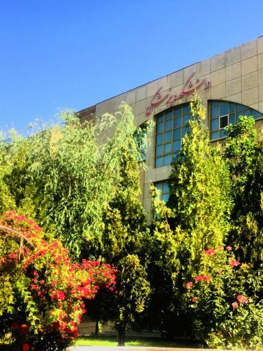 عکس دانشگاه علوم پزشکی اراک پردیس پیامبر اعظم (ص)