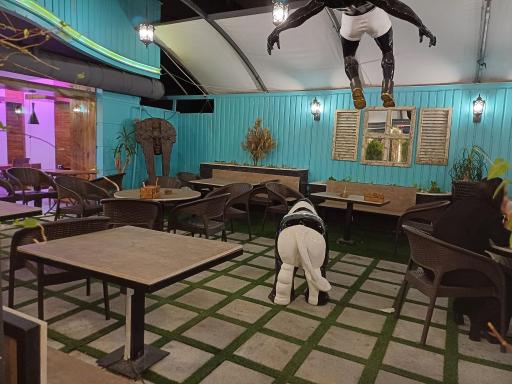 عکس کافه رستوران ازمیر