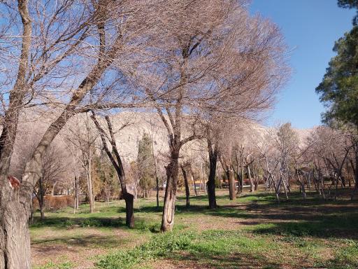 عکس پارک آزادگان شهرستان زرقان