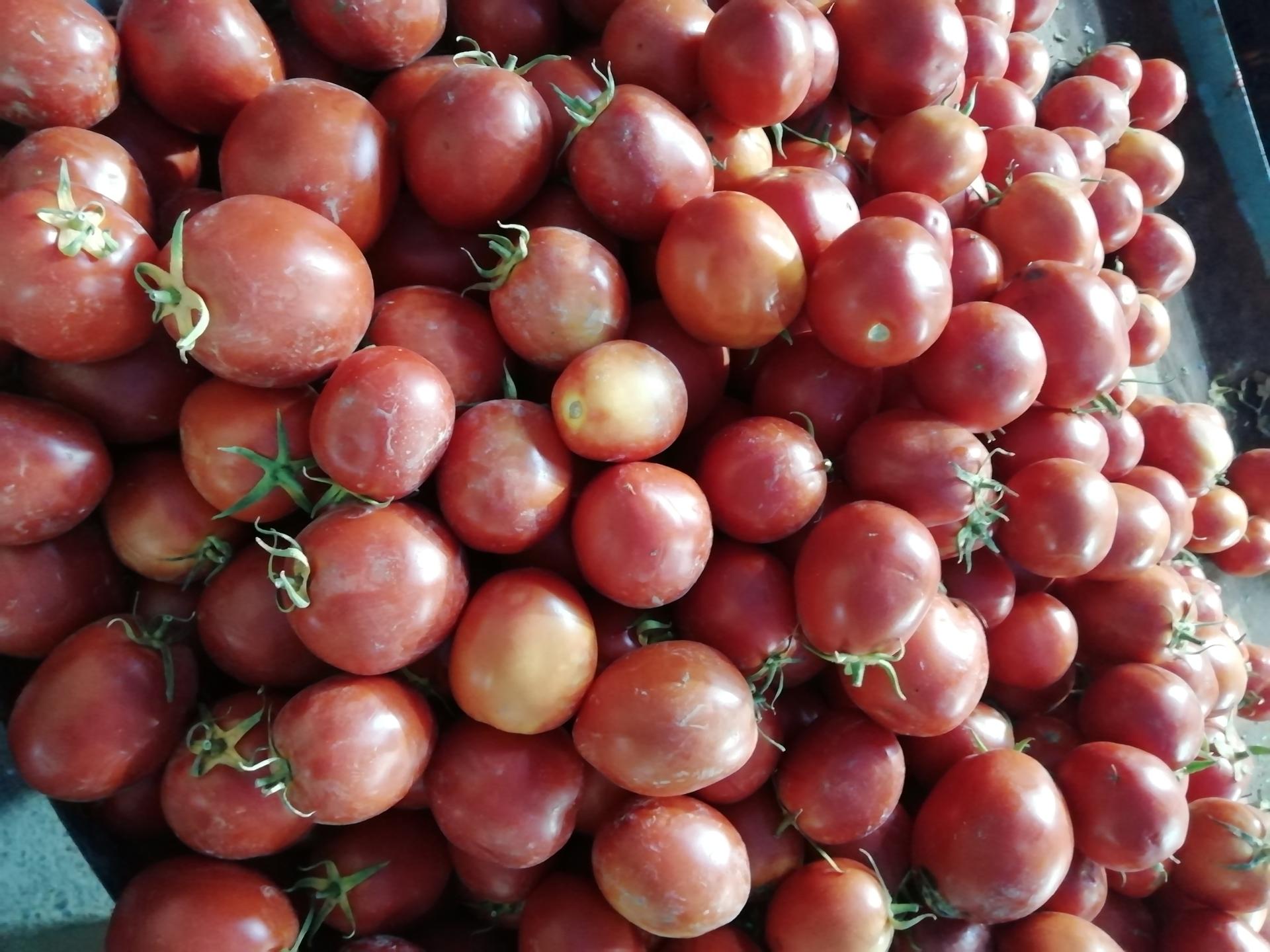 عکس سوپر میوه و تره بار تقی پور 