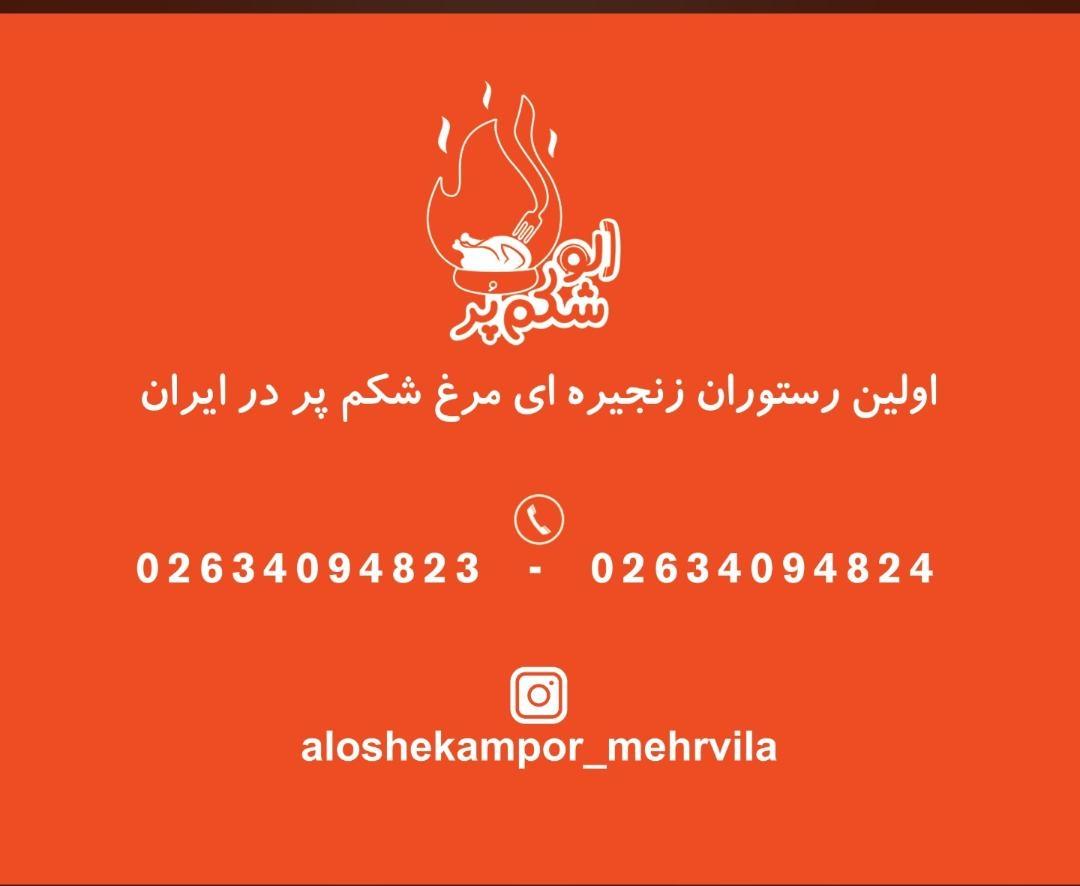 عکس الو شکم پر 