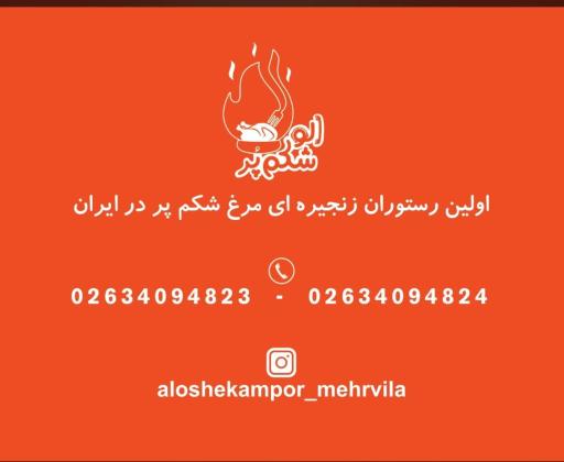 عکس الو شکم پر 