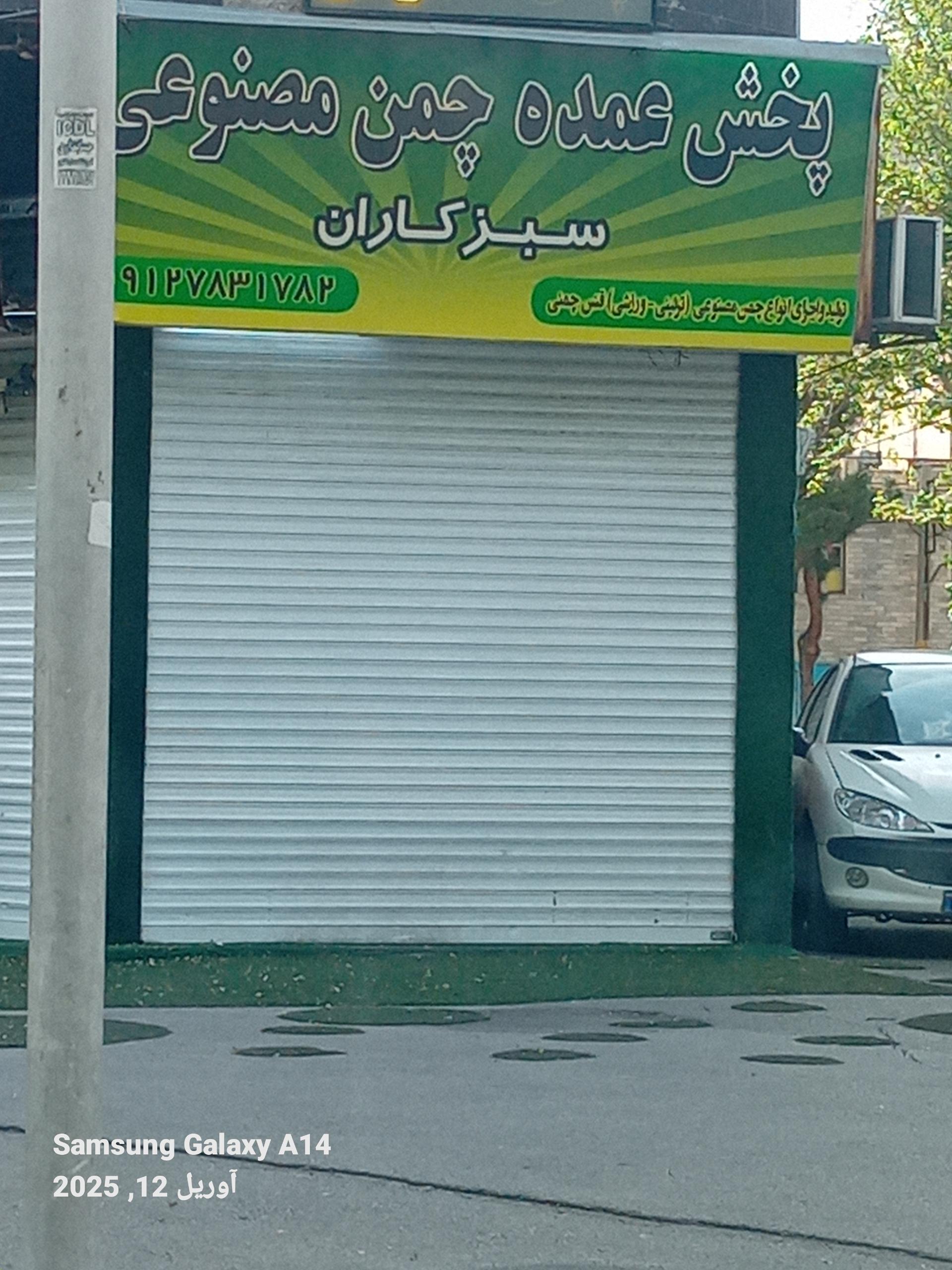 عکس پخش عمده چمن مصنوعی سبزکاران