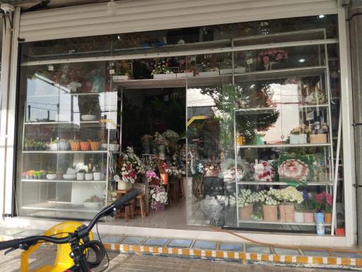 عکس گل ایرونی