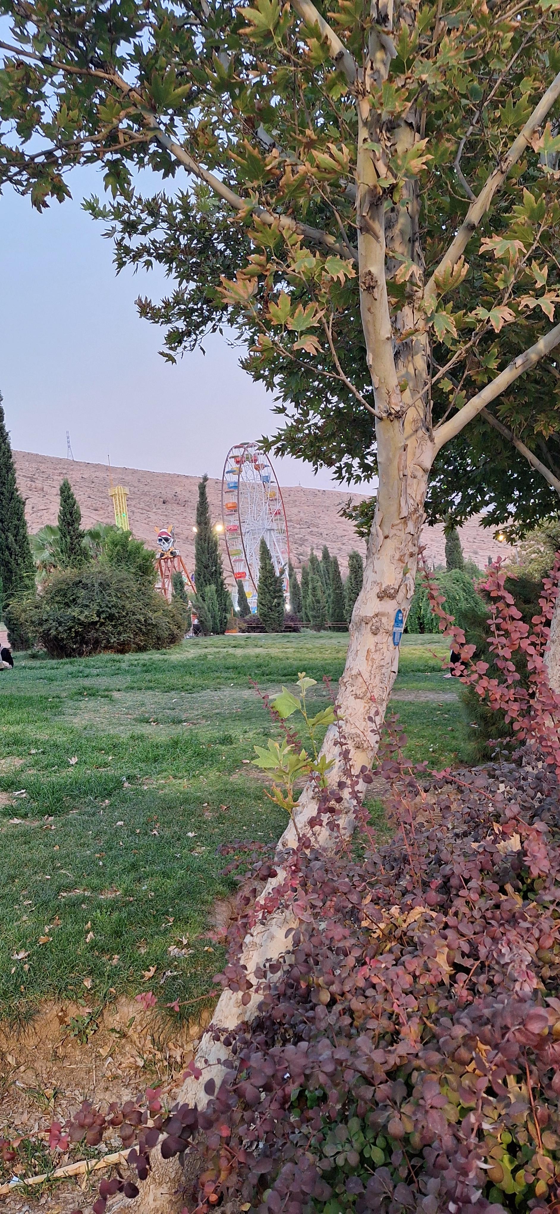 عکس پارک سایه