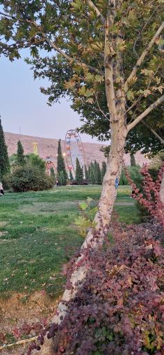 عکس پارک سایه