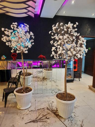 عودلند دکور