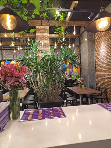 عکس پیتزا سیب ۳۶۰