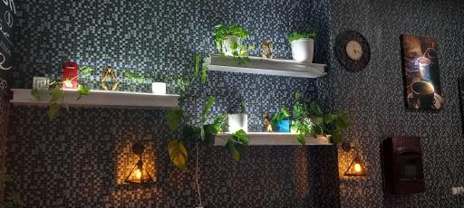 عکس کافه آیسلند 