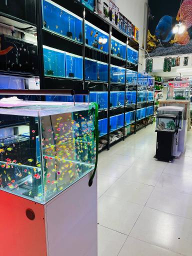 عکس آکواریوم خزر