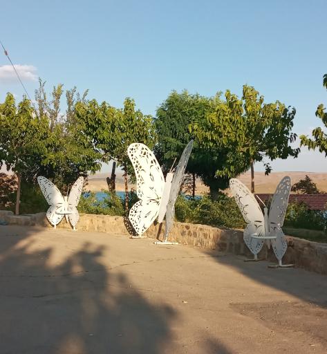 عکس میدان لاله