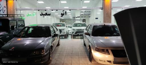 عکس اتوگالری سعید معینی فرد