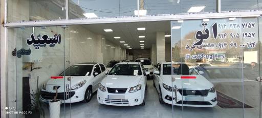 عکس اتوگالری سعید معینی فرد