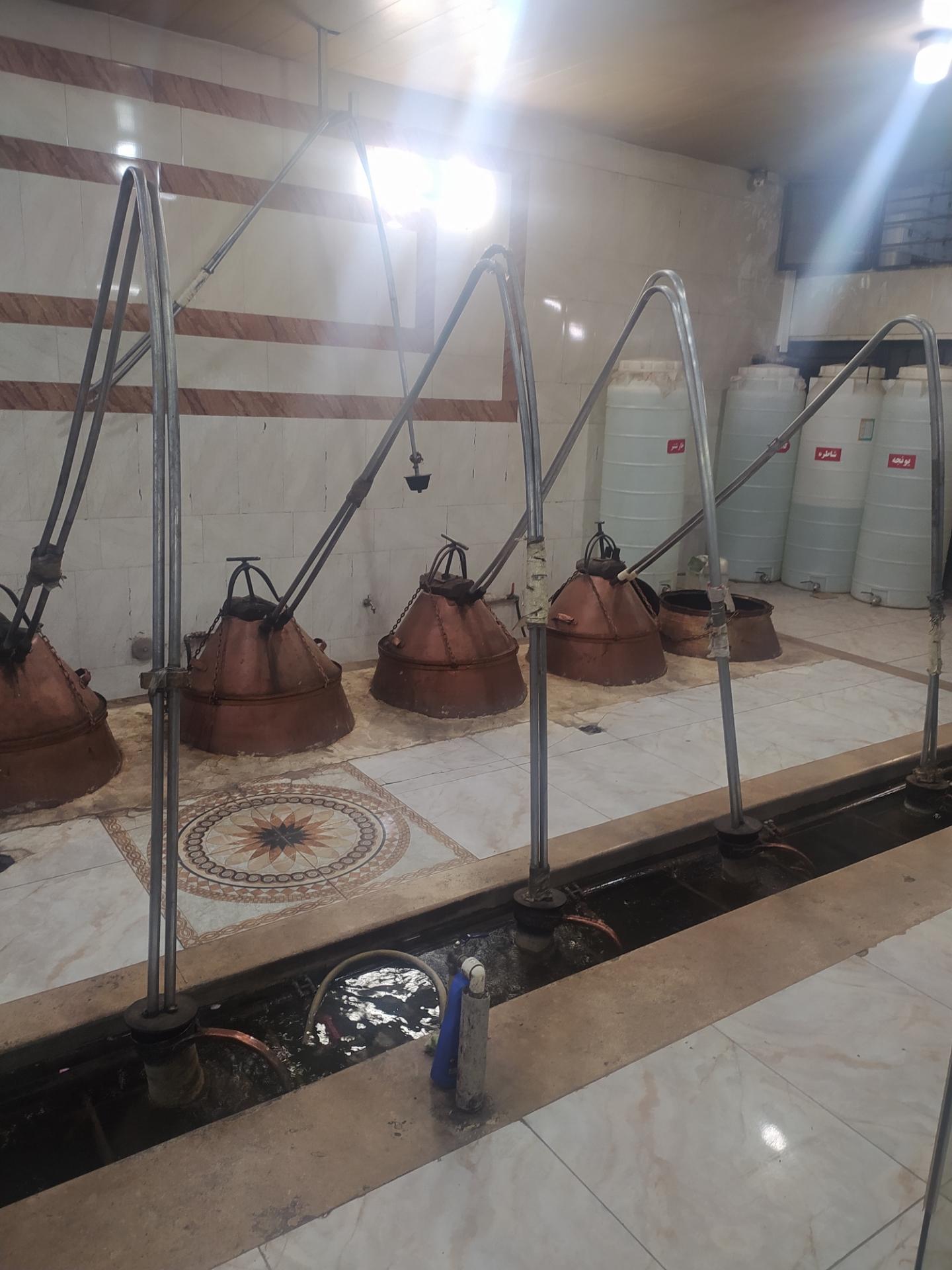 عکس گلاب مرهم