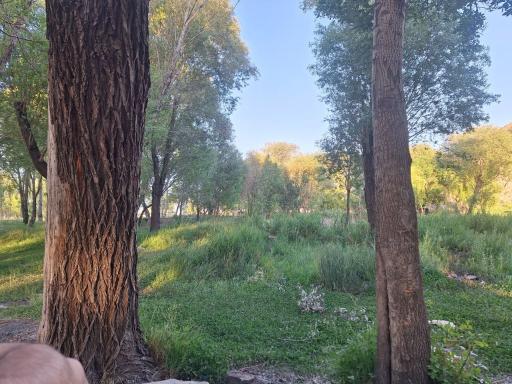 عکس چشمه کیخسرو (بلاغ حک)