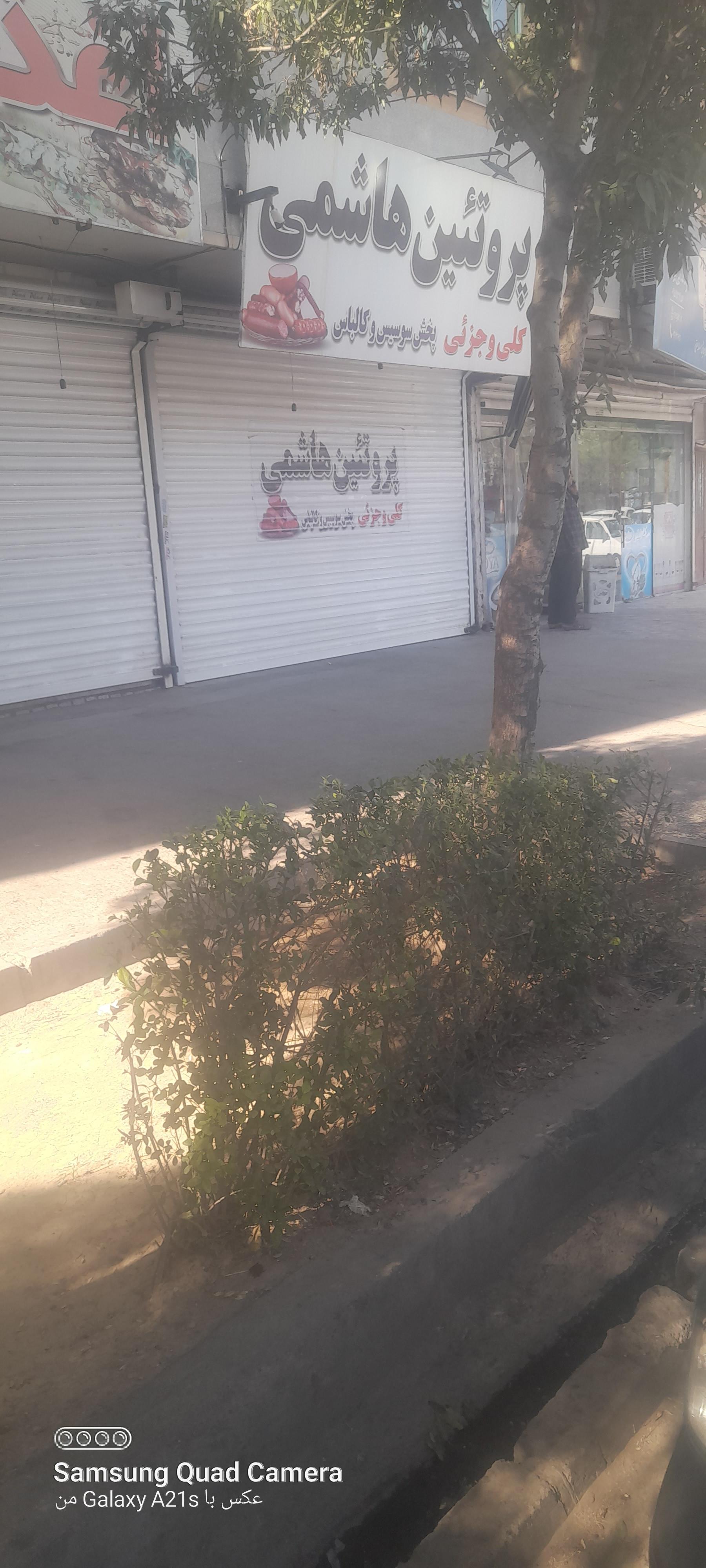 عکس پروتئین هاشمی