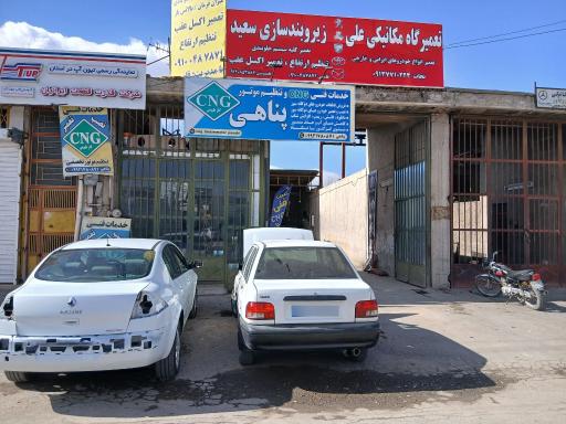 عکس جلوبندی سعید