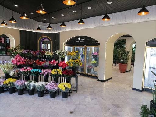 عکس خانه گل و گیاه هشت بهشت رضوی