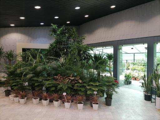 عکس خانه گل و گیاه هشت بهشت رضوی