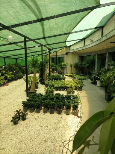 عکس خانه گل و گیاه هشت بهشت رضوی