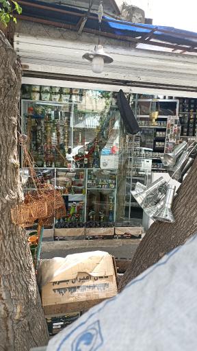 دخانیات بیستون