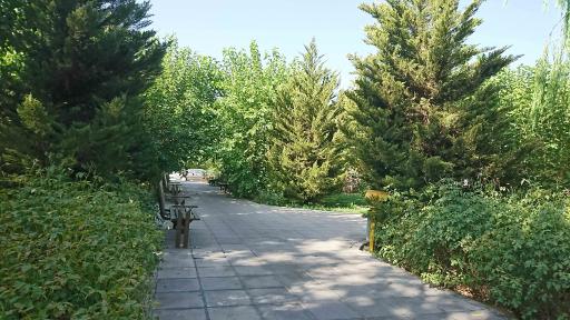 عکس بوستان شاهد