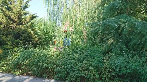 عکس بوستان شاهد