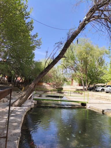 عکس اردوگاه گردشگری دانا سراب