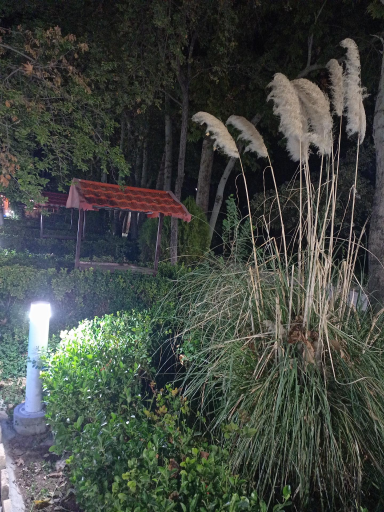 عکس باشگاه شماره 1 رستوران شهرداری (باغ مسکین)