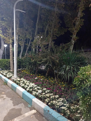 عکس باشگاه شماره 1 رستوران شهرداری (باغ مسکین)