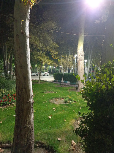 عکس باشگاه شماره 1 رستوران شهرداری (باغ مسکین)