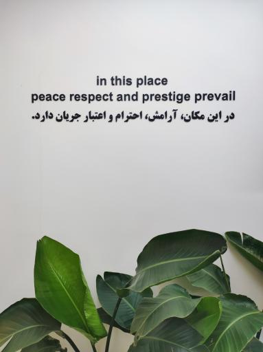 عکس رادیولوژی و سونوگرافی دکتر عابد مهرور