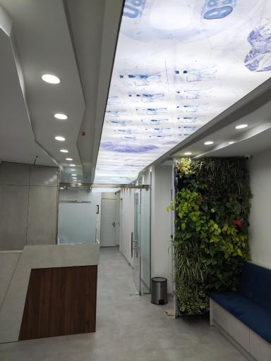 عکس رادیولوژی فک و صورت دکتر فائزه یوسفی 