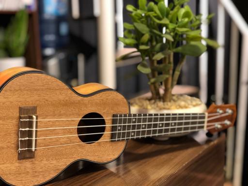 عکس گالری موسیقی شهریار