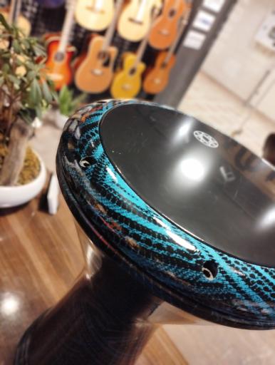 عکس گالری موسیقی شهریار