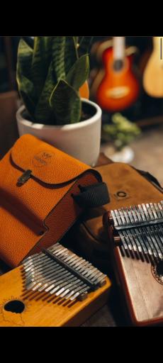 عکس گالری موسیقی شهریار