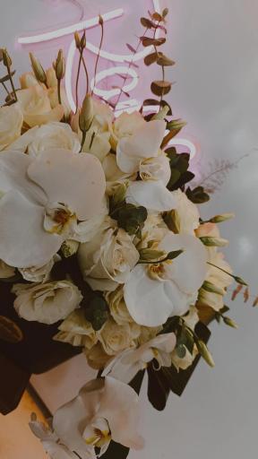 عکس گل فروشی راما