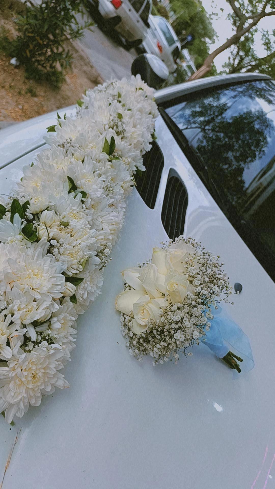 عکس گل فروشی راما