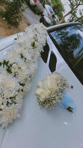 عکس گل فروشی راما