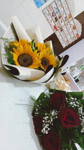 عکس گل فروشی راما