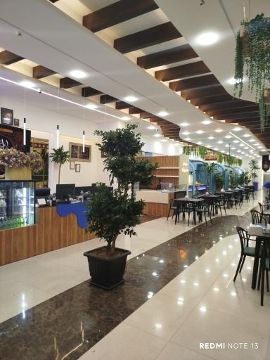 عکس آبمیوه استوا 