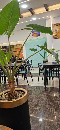 آبمیوه استوا 