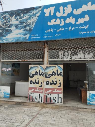 عکس فروش ماهی زنده شیرباد زشک