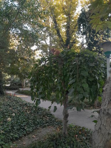 عکس دانشکده منابع طبیعی و محیط زیست