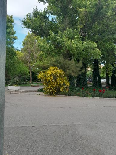 عکس دانشکده منابع طبیعی و محیط زیست