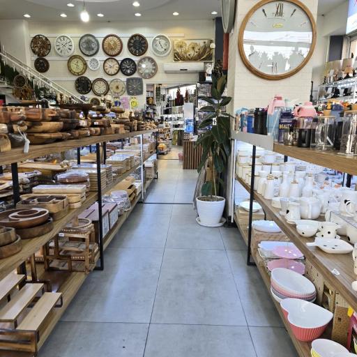 پلاسکو نوایی