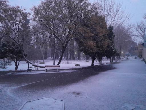 دانشکده منابع طبیعی و محیط زیست