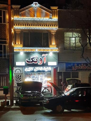 عکس سیستم و دزدگیر آونگ