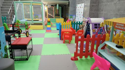 عکس خانه بازی راکون